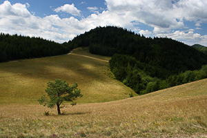 Krajina