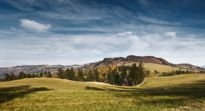 Panorama