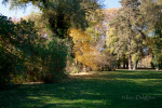 Jeseň v parku II