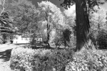 Botanická záhrada