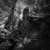Cestou na Sitno B&W
